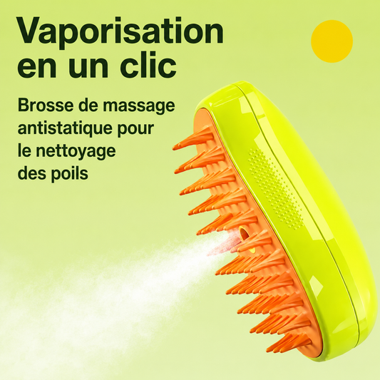 Brosse Vapeur PuraPoil - Édition Voyage Compacte