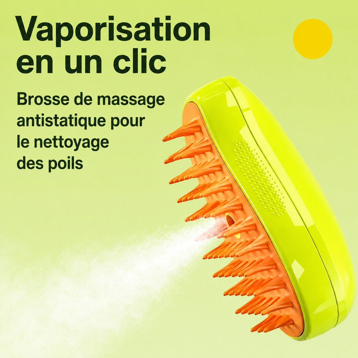 Brosse Vapeur PuraPoil - Édition Voyage Compacte