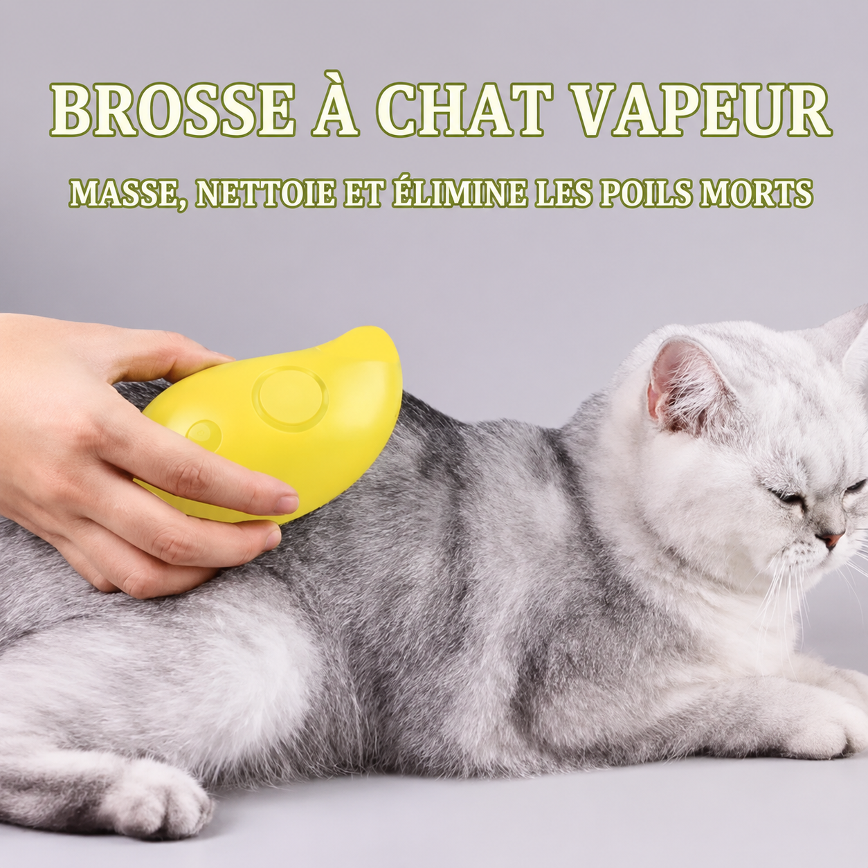 Brosse Vapeur PuraPoil - Édition Voyage Compacte
